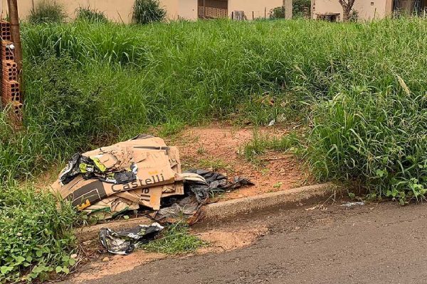 No período chuvoso, mato cresce rápido nos terrenos